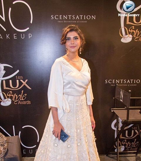 Lux Style Awards 2015 Pictures